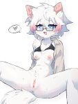  &lt;3 absurd_res anthro bikini blue_eyes blush bodily_fluids clothed clothing eyewear female fur genital_fluids genitals glasses hair hi_res looking_at_viewer mammal nipples open_clothing open_mouth open_shirt open_topwear pink_hair pink_nipples pink_pussy pussy pussy_juice shirt sitting sitting_on_ground solo sulitier1 sweat swimwear topwear white_body white_fur white_hair 