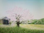  artist_name blue_sky building cherry_blossoms day farm forest garage grass naoy_watercolor nature no_humans original painting_(medium) plant rural shed sky tall_grass traditional_media tree watercolor_(medium) 