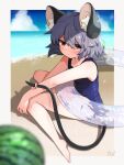  1girl absurdres animal_ears annoyed artist_name beach blue_one-piece_swimsuit border grey_hair highres looking_at_viewer mouse_ears mouse_girl mouse_tail nazrin one-piece_swimsuit red_eyes shadow solo swimsuit tail take_no_ko_(4919400) touhou white_border 
