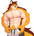 abs anthro aquaticrecon barrel_(live_a_hero) biceps blush body_hair bottomwear canid canine canis clothing happy_trail hi_res lifewonders live_a_hero male mammal muscular muscular_anthro muscular_male nipples pecs shirtless shorts simple_background smile solo white_background wolf 