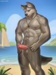  anthro beach blue_eyes canid canine canis christian_cross christian_symbol christianity cloud domestic_dog fur genitals grey_body grey_fur hi_res husky male mammal muscular muscular_male nipples nordic_sled_dog penis religion rock rosemary02 sand seaside shore sky solo spitz 