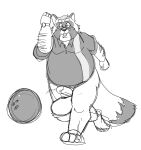  2023 anthro balls belly big_balls big_belly bowling bowling_ball bravo canid canine clothing erection eyewear genitals glasses hi_res male mammal mature_male monochrome overweight overweight_male penis raccoon_dog shirt sketch solo tanuki topwear 
