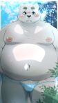  2023 anthro bear belly big_belly black_nose blush bulge clothing hi_res kemono male mammal menmen_kesinn moobs navel nipples outside overweight overweight_male polar_bear solo swimwear ursine white_body 