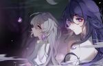  2girls absurdres bare_tree black_hair bronya_rand bug butterfly closed_mouth colored_inner_hair crescent_moon earrings expressionless facing_to_the_side grey_hair highres honkai:_star_rail honkai_(series) jewelry linnoko long_hair looking_at_viewer looking_back looking_up moon multicolored_hair multiple_girls night night_sky purple_butterfly purple_eyes purple_hair seele_(honkai:_star_rail) sky tree yellow_eyes 