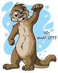  2017 ambiguous_gender anthro brown_body brown_fur brown_nose dialogue english_text flinters fur hi_res looking_at_viewer mammal mustelid otter solo text whiskers 