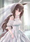  1girl absurdres admire_vega_(umamusume) animal_ears black_hair blush breasts bridal_veil church dress hair_between_eyes hair_ornament highres horse_ears horse_girl horse_tail illustoekaki looking_at_viewer medium_breasts ponytail smile solo tail umamusume veil wedding_dress 