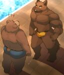  2023 anthro arufina_w bear blush bodily_fluids brown_body brown_fur bulge butt canid canine canis clothing detailed_background domestic_dog duo fur hi_res humanoid_hands kemono male mammal muscular outside overweight sweat swimming_pool swimwear water 