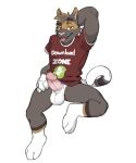  anthro barley_(barleythecat) clothing domestic_cat erection felid feline felis gato_matero hand_behind_head hand_on_leg hand_on_thigh hi_res leg_markings looking_at_viewer male mammal markings red_eyes shirt simple_background socks_(marking) solo tail tongue tongue_out topwear 