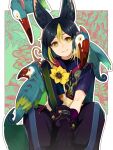  1boy absurdres animal_ear_fluff animal_ears animal_on_shoulder asymmetrical_sleeves bird bird_on_leg bird_on_shoulder black_hair blunt_ends closed_mouth flower fox_boy fox_ears fox_tail genshin_impact gloves gradient_eyes gradient_hair green_eyes green_hair green_tail hair_between_eyes highres looking_at_viewer male_focus misoshiru_umai4 multicolored_eyes multicolored_hair pants short_hair sitting smile solo streaked_hair tail tighnari_(genshin_impact) toucan two-tone_hair yellow_flower 