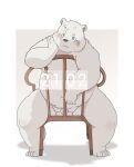  2023 anthro awa_awa balls band-aid bandage bear belly black_nose chair flaccid furniture genitals hi_res humanoid_hands kemono male mammal moobs nipples overweight overweight_male penis polar_bear simple_background sitting small_penis solo ursine white_body young 