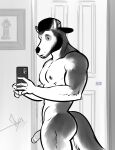  anthro backwards_hat bgn canid canine canis cellphone clothing flaccid fur genitals hat headgear headwear hi_res holding_object male mammal nipples nude penis phone selfie solo tail wolf 