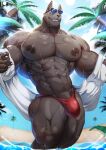  abs anthro anubian_jackal beach bodily_fluids bulge canid canine canis clothing eyewear hi_res jackal league_of_legends magangz male mammal mostly_nude muscular muscular_anthro muscular_male nasus_(lol) nipples pecs riot_games seaside solo speedo sunglasses sweat swimwear vein 