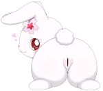  &lt;3 2023 absurd_res accessory anthro azuo blush butt censored female flower flower_in_hair fur genitals hair hair_accessory hi_res jewelpet lagomorph leporid looking_at_viewer looking_back looking_back_at_viewer mammal plant presenting presenting_pussy pussy rabbit rear_view red_eyes ruby_(jewelpet) sanrio simple_background solo white_background white_body white_fur 
