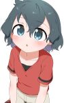  1girl :o absurdres black_hair chis_(js60216) commentary grey_shorts highres kaban_(kemono_friends) kemono_friends light_blush looking_at_viewer parted_lips red_shirt shirt short_hair short_sleeves shorts simple_background sitting solo white_background 