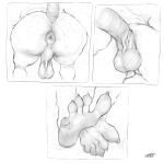  5_toes absurd_res anthro anus backsack balls barefoot big_balls big_penis black_and_white butt butt_shot close-up crimetxt didelphid digital_media_(artwork) erection faceless_character faceless_male feet foot_fetish foot_focus fur fylk genital_focus genitals hairy hi_res humanoid_feet humanoid_genitalia low-angle_view male mammal marsupial monochrome multiple_images nude penis plantigrade presenting presenting_hindquarters pubes raised_tail rear_view saggy_balls simple_background soles solo spread_toes tail toes virginia_opossum 