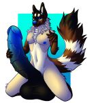  anthro big_penis canid canine canis erection genitals hi_res huge_penis looking_at_viewer macro male mammal ninetycrows nipples penis solo wolf 