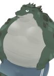  2023 absurd_res alligator alligatorid anthro belly big_belly bulge clothing crocodilian en_1_9 green_body hi_res kemono male moobs overweight overweight_male reptile scalie simple_background solo underwear white_background 