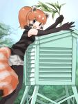  1girl absurdres black_gloves black_hair black_pantyhose black_shirt blue_sky blush breasts brown_eyes commentary_request cutoffs day elbow_gloves feet_out_of_frame from_side fur_collar gloves grey_shorts highres holding holding_plant iwa_(iwafish) kemono_friends lesser_panda_(kemono_friends) long_hair looking_at_viewer looking_to_the_side medium_breasts multicolored_hair open_mouth orange_hair outdoors outstretched_arms pantyhose pantyhose_under_shorts plant ponytail raised_eyebrows reaching red_panda_ears red_panda_girl red_panda_tail shirt short_shorts shorts sidelocks sky sleeveless sleeveless_shirt smile solo standing stevenson_screen striped striped_shirt white_hair 