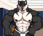  abs absurd_res anthro barazoku biceps black_body black_eyes black_fur black_nipples bulge canid canine canis clothed clothing darknaigart detailed_background digital_media_(artwork) fingers fur hi_res jockstrap jockstrap_only locker_room looking_at_viewer male mammal mostly_nude muscular muscular_anthro muscular_male navel nipples pecs solo tongue tongue_out topless underwear underwear_only white_body white_clothing white_fur white_jockstrap white_underwear wolf yellow_sclera 