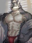  1boy abs bara bare_pectorals bulge cowboy_shot fundoshi highres huge_eyebrows japanese_clothes large_pectorals light_frown looking_at_viewer male_focus mature_male muscular muscular_male navel navel_hair neumo nipples off_shoulder opened_by_self original pectorals red_fundoshi robe short_hair solo stomach wolf_boy 
