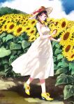  1girl bare_arms bare_shoulders blue_sky bow braid breasts brown_headwear character_request cloud cloudy_sky commentary_request day dress field flower flower_field hat hat_bow kutsu_no_muku_mama long_hair looking_at_viewer low_twintails miyabi_akino outdoors red_bow shoes sky sleeveless sleeveless_dress small_breasts solo sunflower twin_braids twintails twitter_username white_dress yellow_flower yellow_footwear 