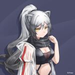  1girl animal_ears arknights breasts cat_ears cleavage commentary crop_top grey_hair hair_between_eyes jacket jiuyu_qame large_breasts long_hair looking_at_viewer midriff navel open_clothes open_jacket ponytail schwarz_(arknights) solo stomach upper_body very_long_hair yellow_eyes 