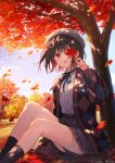  1girl ankle_socks artist_name autumn autumn_leaves black_ribbon black_socks blush brown_hair cardigan commentary_request dappled_sunlight day falling_leaves fukahire_(ruinon) highres holding holding_leaf leaf long_sleeves looking_at_viewer maple_leaf maple_tree neck_ribbon one_eye_covered open_cardigan open_clothes original outdoors parted_lips plaid_cardigan puffy_long_sleeves puffy_sleeves red_eyes ribbon shirt shirt_tucked_in sitting socks solo sunlight thighs tree under_tree white_headwear white_shirt 