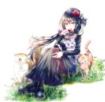  1girl :o black_dress black_footwear black_hair black_headwear black_socks breasts candy cat cat_day chocolate chocolate_bar date_a_live dated day dress flower food full_body grass hair_flower hair_ornament hat hat_flower heterochromia highres long_hair long_sleeves mary_janes open_mouth orange_eyes outdoors red_eyes see-through_cleavage shoes sitting small_breasts socks tokisaki_kurumi yulan_jiujian 