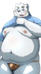  2023 anthro band-aid bandage bear belly big_belly black_nose blush clothed clothing clothing_lift hi_res humanoid_hands kemono male mammal menmen_kesinn moobs navel nipples overweight overweight_male polar_bear shirt shirt_lift simple_background solo topwear underwear ursine white_body 