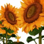  blurry blurry_background facing_away flower flower_focus highres leaf no_humans pikmin_(creature) pikmin_(series) sarii_osaka signature simple_background sitting solo summer sunflower white_background yellow_flower yellow_pikmin 