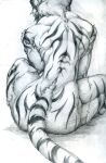  animal_humanoid butt chinju_r crotch_tuft felid felid_humanoid female fur hair humanoid kari_yuga_(tiger_girl) mammal mammal_humanoid muscular not_furry nude pantherine pantherine_humanoid sitting solo stripes tail tiger_humanoid tuft 