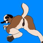  absurd_res anthro anus canid canine canis domestic_dog female floppy_ears hi_res humanoid_genitalia lying mammal molosser mountain_dog on_front pawpads raised_tail saint_bernard solo tail uhphyshall_jupyter unfinished 