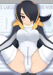  1girl black_hair breasts brown_eyes chart closed_mouth commentary_request covered_navel emperor_penguin_(kemono_friends) feet_out_of_frame hair_over_one_eye headphones highres kemono_friends large_breasts length_markings leotard long_hair looking_at_viewer multicolored_hair ollie_(ollie_stratos) orange_hair penis_measuring smile solo spread_legs streaked_hair thighhighs white_leotard white_thighhighs 
