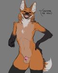  aaron_(edwino22) anthro balls big_ears canid canine chastity_cage chastity_device dialogue edwino22 genitals girly hand_on_hip hi_res looking_at_viewer male mammal maned_wolf nude orange_body smile smiling_at_viewer smug solo talking_to_viewer 