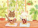  animal blush brown_cat cat clothed_animal cup drinking_glass food indoors no_humans oniheya_53 original painting_(medium) plant plate potted_plant table traditional_media tray watercolor_(medium) white_cat window 