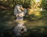  absurd_res anthro avian beak bird birdtember breasts evergreen_tree feathers female golden_hour hi_res leaf light light_beam nature nature_background partially_submerged pelecaniform pine_tree plant pond reflection rock shoebill solo sunbeam sunlight tree water yenocwolf 