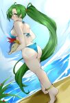  1340smile 1girl absurdres barefoot beach bikini blue_bikini cyndaquil facing_away feet fire_emblem fire_emblem_heroes from_behind heel_up highres holding holding_pokemon legs looking_at_another looking_at_viewer lyn_(fire_emblem) ocean pokemon pokemon_(creature) pokemon_(game) swimsuit toes 