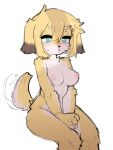  anthro bodily_fluids breasts crayon_(artist) female fur hair hairclips_oc_(crayon) hi_res humanoid kemono nipples nude simple_background solo tail white_background white_body white_fur yellow_body yellow_fur 