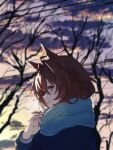  1girl absurdres agnes_tachyon_(umamusume) ahoge animal_ears bare_tree blue_coat blurry blurry_background breasts brown_hair closed_mouth cloud coat highres horse_ears long_sleeves looking_at_viewer orange_eyes outdoors scarf short_hair sideways_glance smile solo sunset tree umamusume watou 