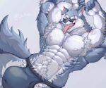  abs absurd_res anthro armpit_hair biceps blue_body blue_fur body_hair bulge canid canine canis claws clothing dislyte ear_piercing eyewear freddy_(dislyte) fur happy_trail hi_res male mammal muscular muscular_anthro muscular_male nipples pecs piercing pubes scar simple_background sir_arion solo sunglasses tail tongue underwear white_body white_fur wolf 