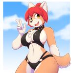  anthro canid canine canis clothing cloud domestic_dog female gesture heiko_(domasarts) hi_res infinitedge mammal outside smile solo swimwear v_sign yellow_eyes 