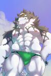  abs absurd_res anthro biceps black_and_white_body black_and_white_fur bulge clothing green_eyes heylaw21 hi_res lifewonders live_a_hero male monomasa muscular muscular_anthro muscular_male navel nipples pecs red_sclera solo speedo swimwear 