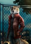  anthro bottomwear building canid canine canis chain-link_fence city city_background clothing coat denim denim_clothing facial_scar fence hands_in_both_pockets hi_res jacket jeans legend_of_ahya male mammal night pants scar solo topwear veyz wolf 