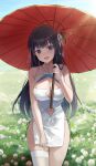  1girl absurdres bare_arms bare_shoulders black_hair blue_eyes breasts chie_(user_snfh8333) china_dress chinese_clothes cleavage cleavage_cutout clothing_cutout cowboy_shot day dress flower hair_ribbon highres holding holding_umbrella large_breasts long_hair looking_at_viewer meadow navel navel_cutout oil-paper_umbrella one_side_up open_mouth original panties pelvic_curtain ribbon short_dress side-tie_peek single_thighhigh skindentation sleeveless sleeveless_dress smile solo standing string_panties sunlight thighhighs thighs umbrella underwear white_dress white_flower white_thighhighs 