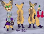  angry_expression animal_genitalia animal_penis anthro armor balls canid canine canine_genitalia canine_penis fennec fox genitals headgear helmet hi_res male mammal model_sheet penis sheath shield solo vulnec 