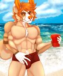  absurd_res alcoholic_drink andromorph anthro beach bulge canid canine canis clothing domestic_dog fan_character fluxred half-length_portrait hand_on_hip hi_res intersex male male/male mammal portrait seaside shiba_inu solo spitz swimming_trunks swimwear water 