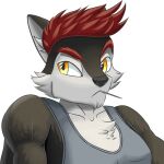  anthro biting_on_toothpick black_nose canid canine canis chest_tuft clothed clothing eyebrows fox fur hair hybrid inner_ear_fluff male mammal multicolored_body multicolored_fur red_eyebrows red_hair shirt soldirix solo toothpick topwear tuft white_inner_ear_fluff wolf 