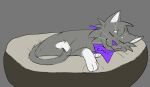  bandanna bandanna_only cat_tail chat_cat domestic_cat eyes_closed felid feline felis feral fur grey_body grey_fur hair kerchief kerchief_only male mammal missjackieart mostly_nude simple_background sleeping smile solo tail young 