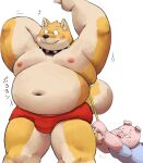  2023 anthro belly big_belly black_nose blush bulge canid canine canis clothing collar domestic_dog domestic_pig duo japanese_text kemono leash male mammal meg_hoi moobs navel nipples overweight overweight_male suid suina sus_(pig) text underwear 