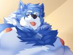  absurd_res anthro blep blue_body blue_fur blue_hair canid canine canis chest_tuft draw_over eyewear fur glasses hair happy hi_res humanoid looking_at_viewer male mammal nipples pecs raccoonbriefs selfie smile solo teeth tongue tongue_out tuft wall_(structure) wholesome wolf 